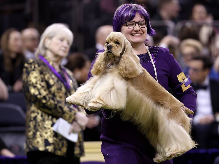 Here are the best things to do in NYC this weekend