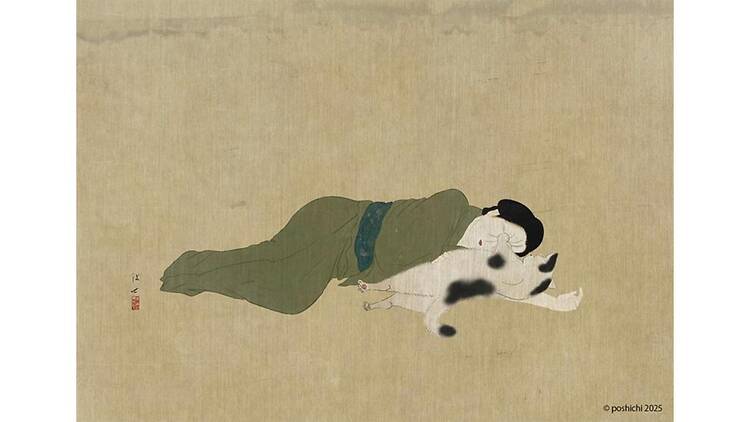 猫が私にしたひどいこと