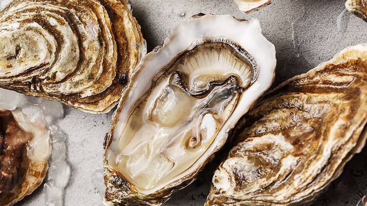 Absinthe & Oysters: A Forbidden Valentine’s