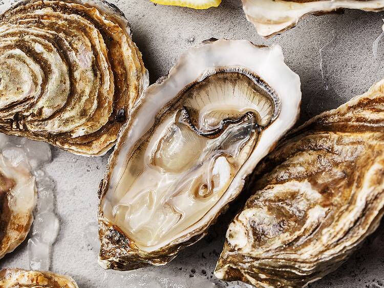Absinthe & Oysters: A Forbidden Valentine’s