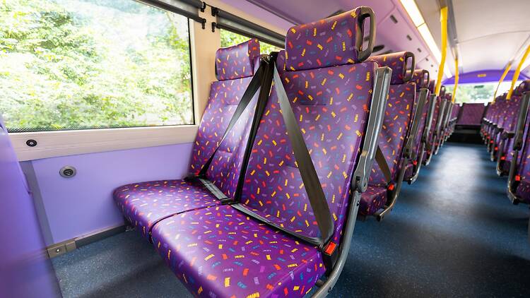 Hong Kong bus seat belt law Hong Kong bus seat belt law