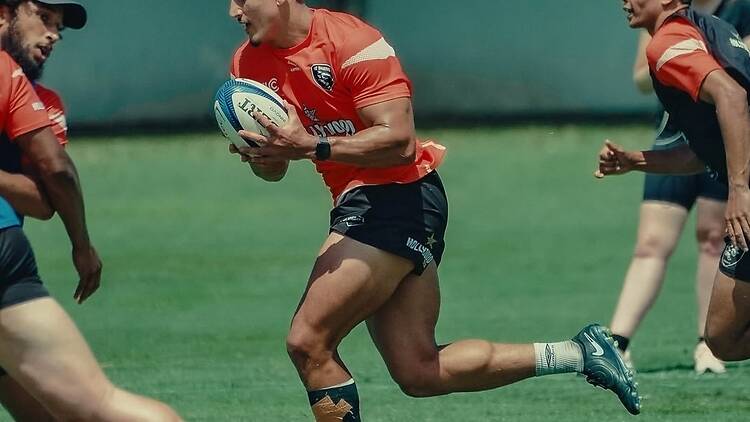 The Sharks at the Tank