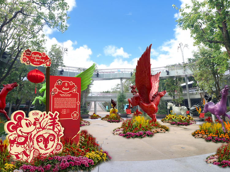 Gallop Into Spring Gallop Into Spring