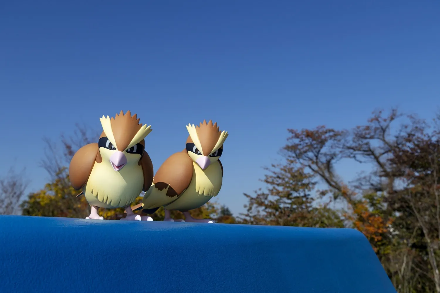 Two Pidgey on a rooftop
