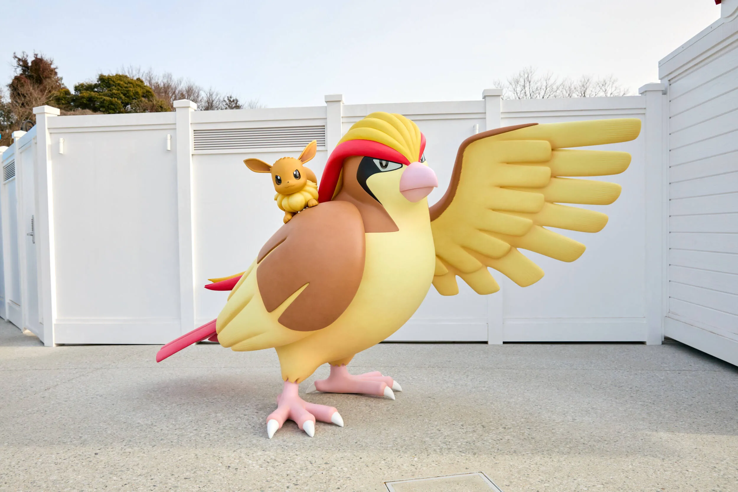 Pidgeot and Eevee