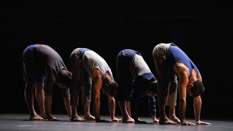 Le Complexe de l’Autruche