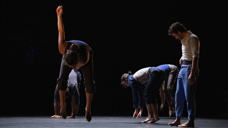 Le Complexe de l’Autruche