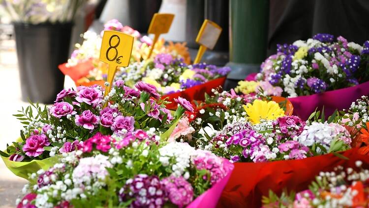 Floristeria, Rambla de Barcelona Floristeria, Rambla de Barcelona