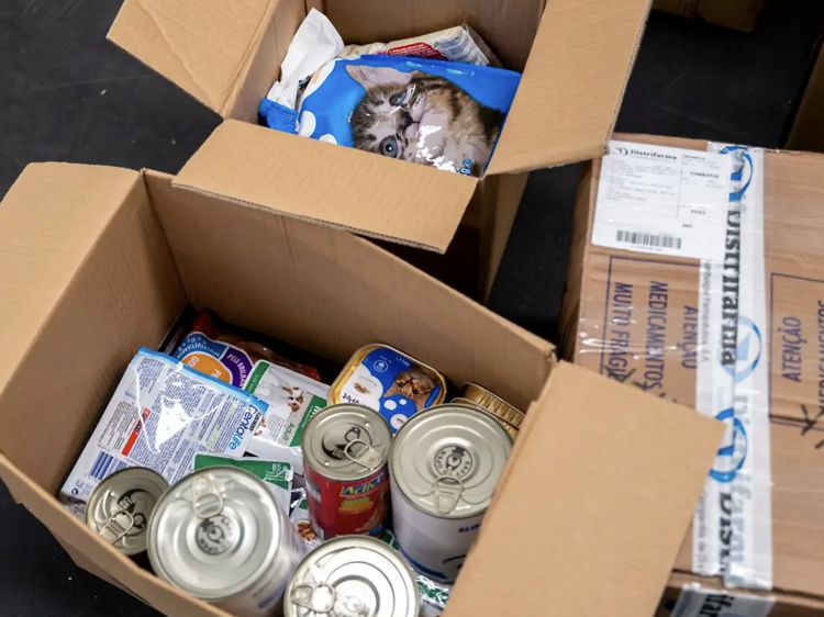 Porto põe em marcha recolha de bens para apoiar as populações de Leiria e Coimbra Porto põe em marcha recolha de bens para apoiar as populações de Leiria e Coimbra