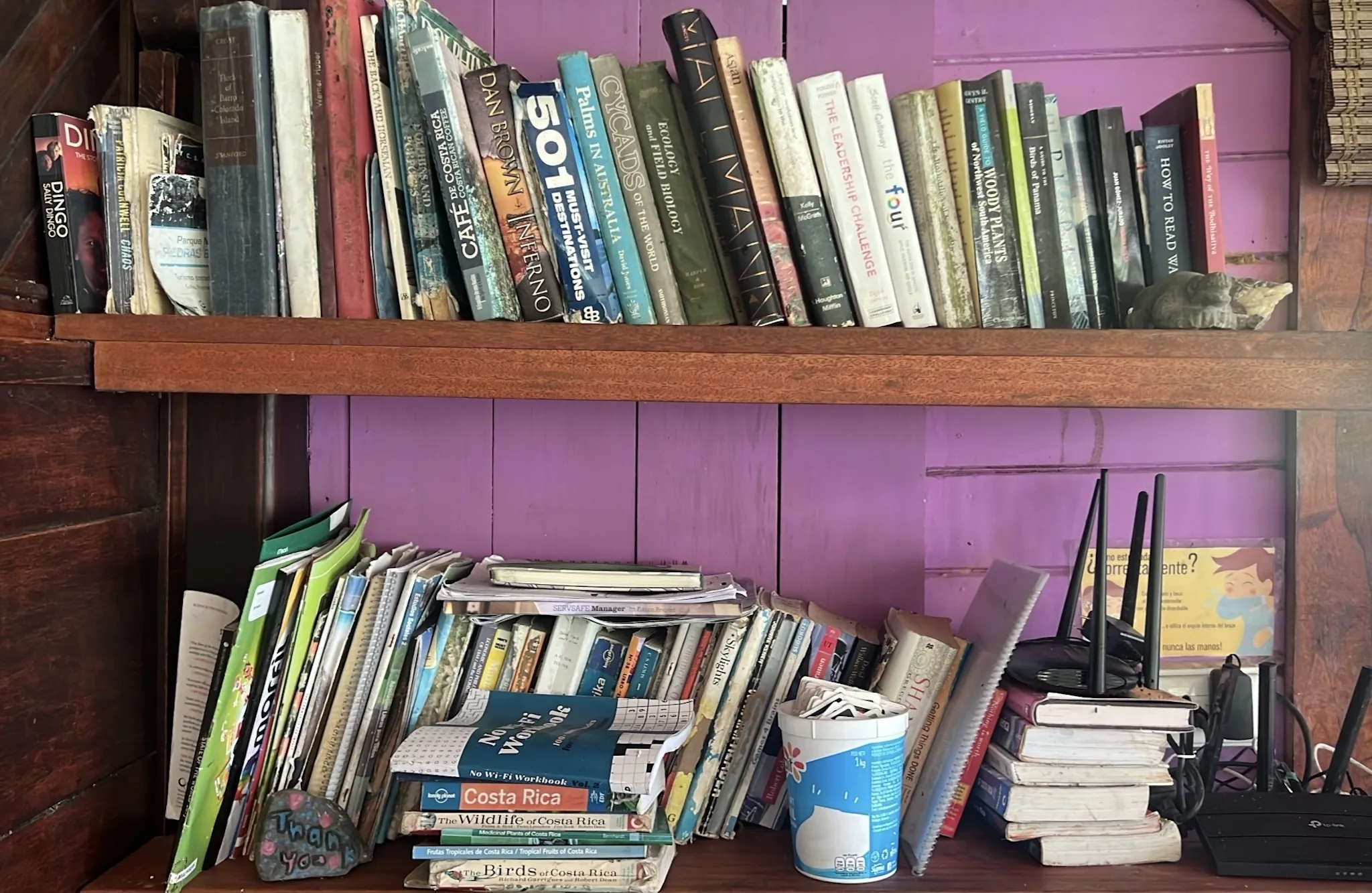 Library of books left by travellers at Dolphin Quest