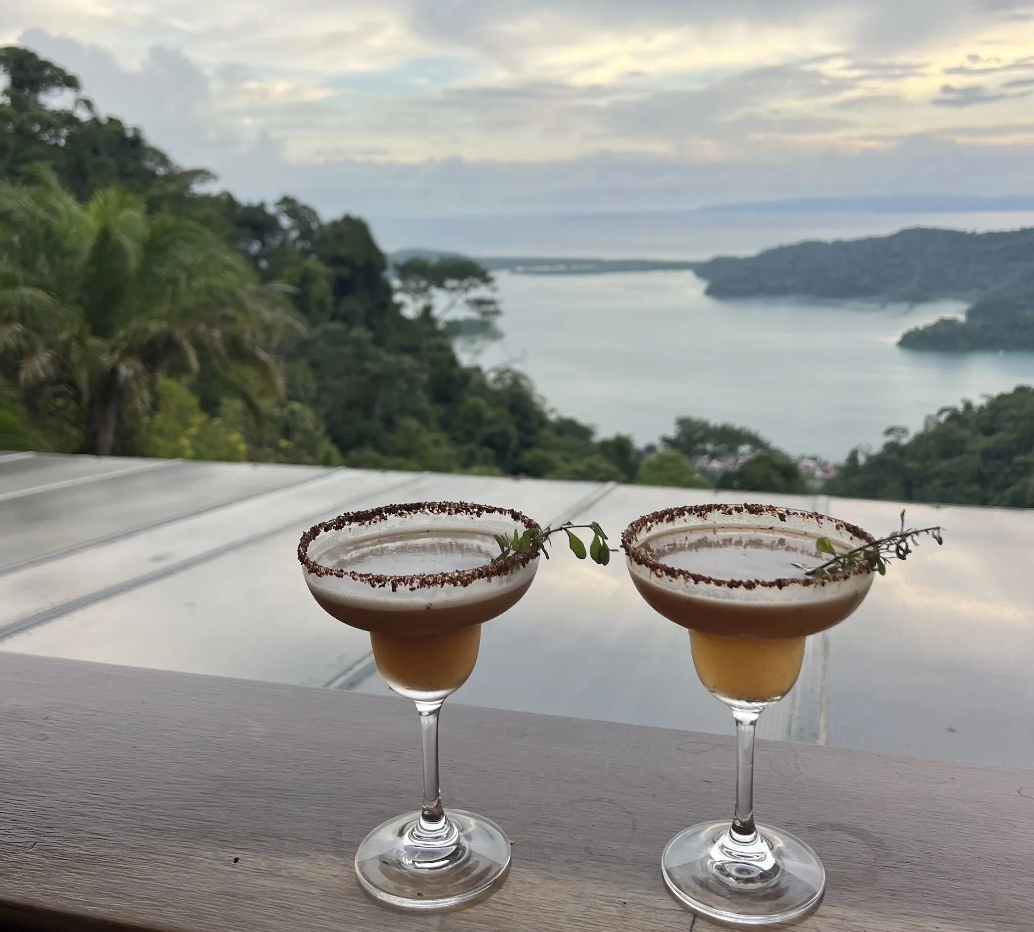 Golfito Bay from the bar at Cielo Lodge
