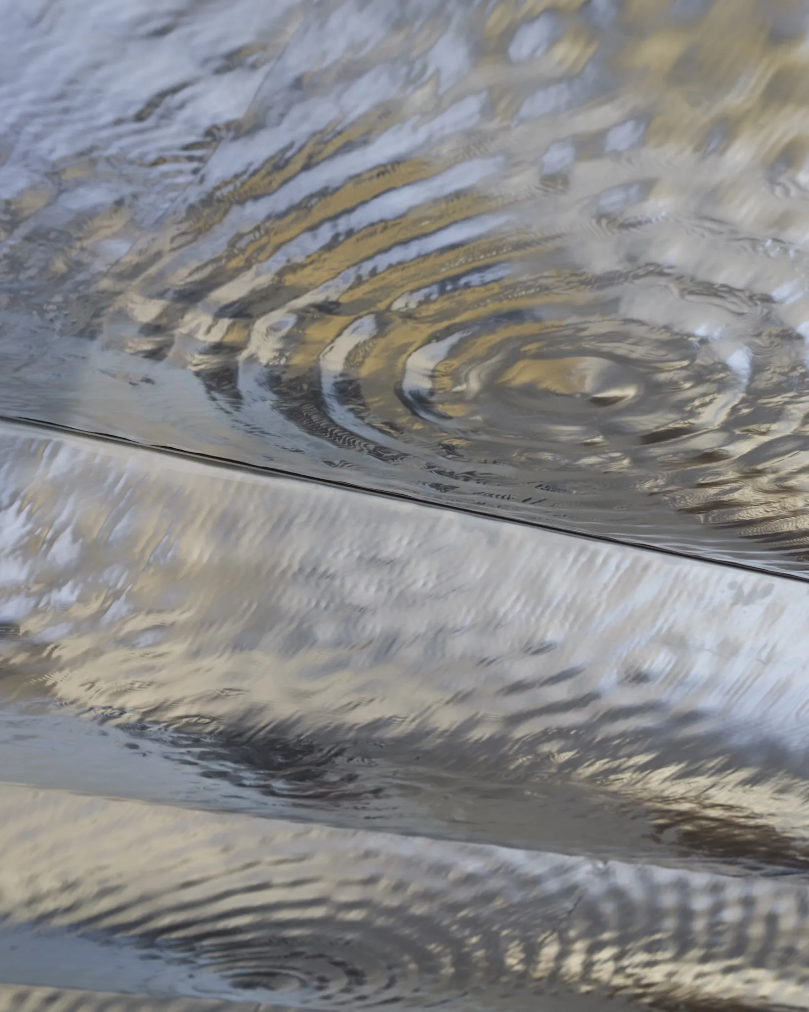 Casa Batll&oacute; Contemporary