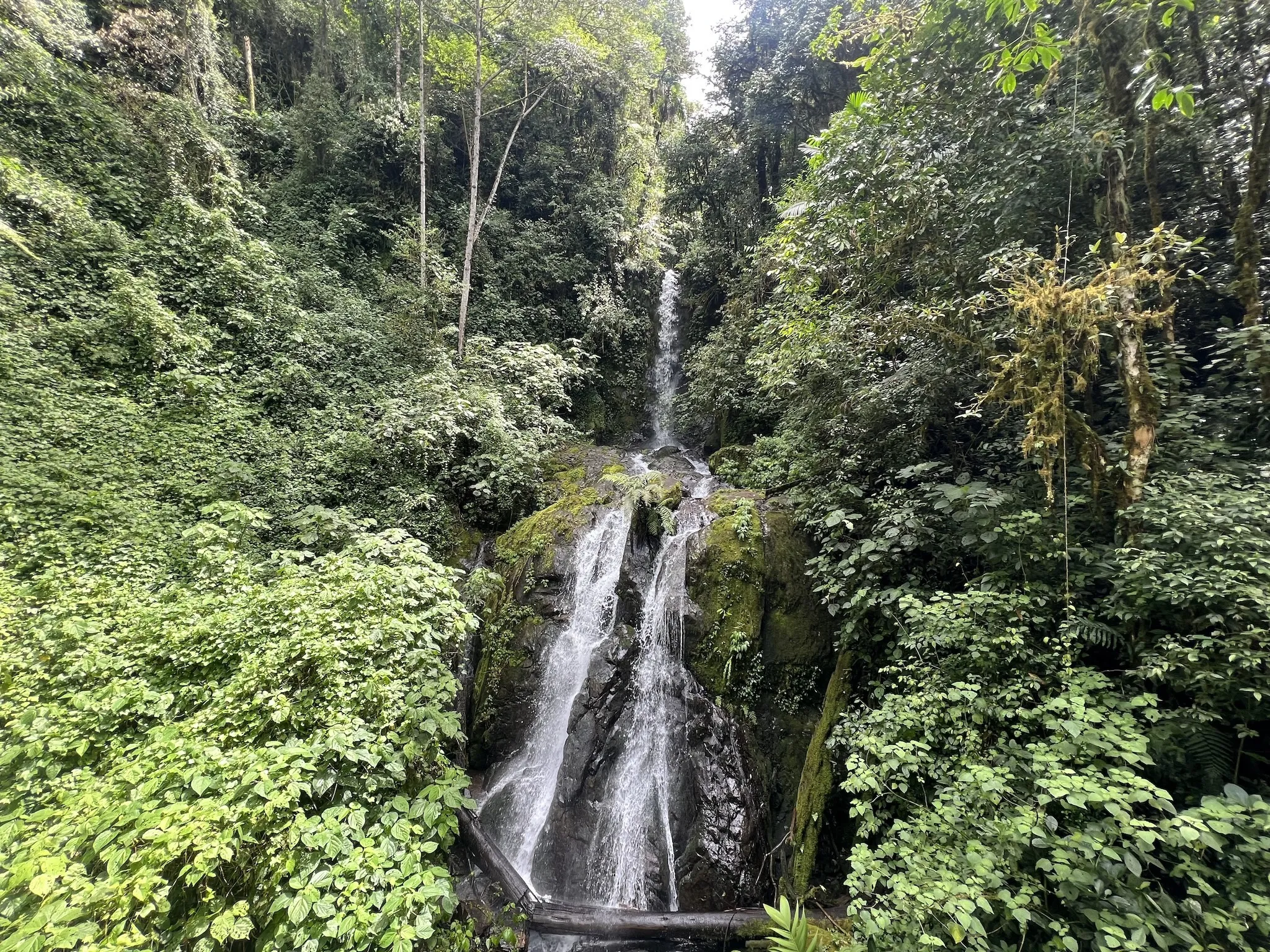 La Amistad National Park, Costa Rica