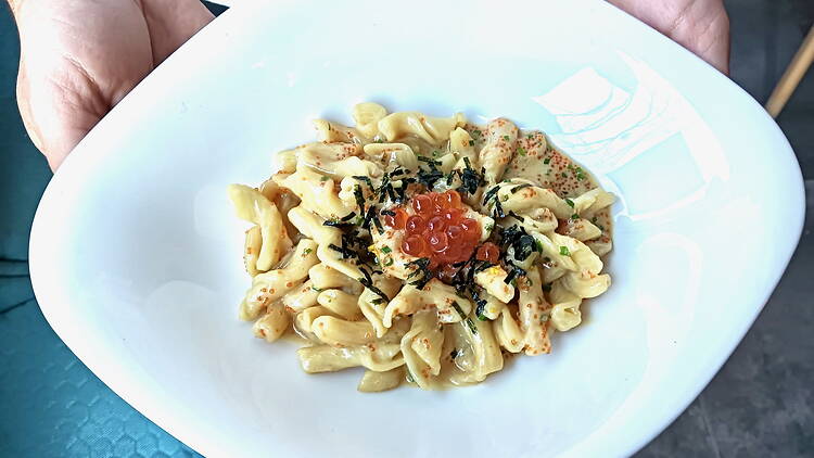 Tortuga, Barcelona Tortuga, Barcelona