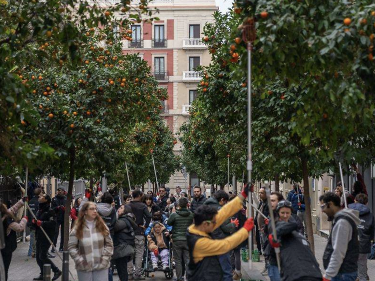 Vecinos recogiendo naranjas en las calles de Barcelona: esta tradición de febrero se celebra por sexto año consecutivo