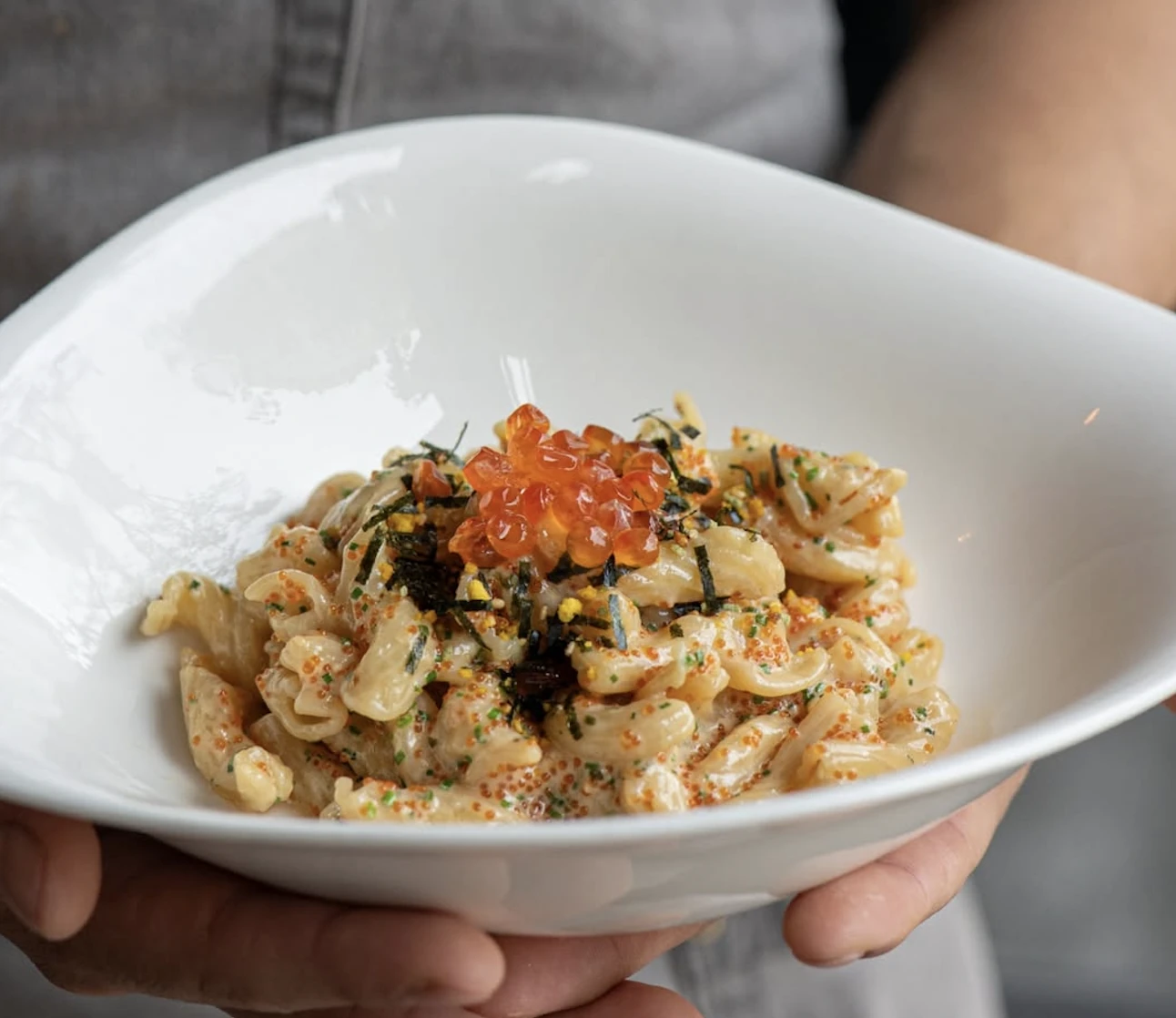 Torchetti mentaiko, Tortuga 