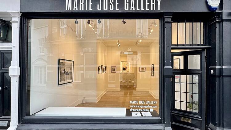 Marie Jose Gallery