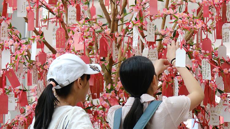 Take part in horoscope readings at Box Hill Central