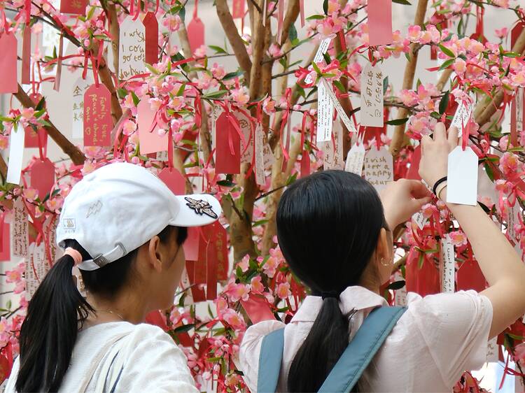 Take part in horoscope readings at Box Hill Central