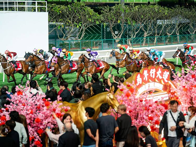 Happy Wednesday gallops into the Year of the Horse at Happy Valley