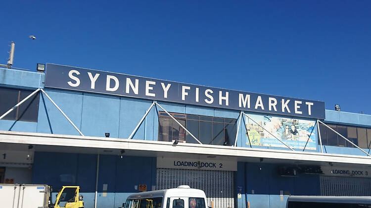 The old Sydney Fish Market