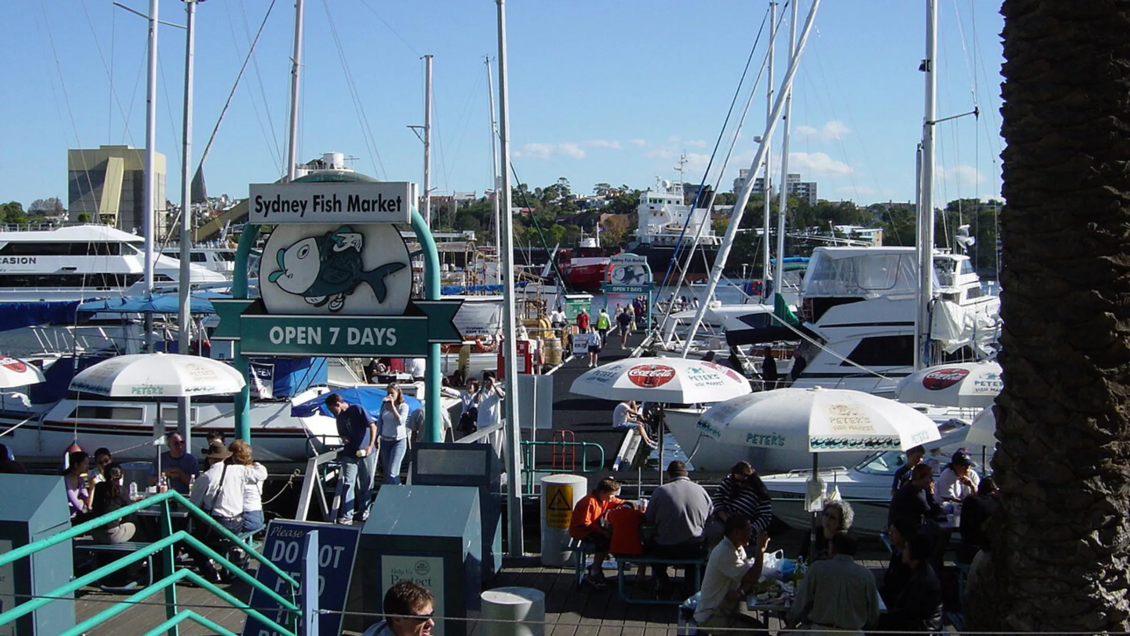 People sitting down at the old Sydney Fish Market