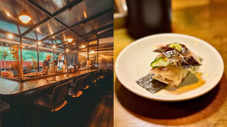 Jellyfish Sushi Jellyfish Sushi