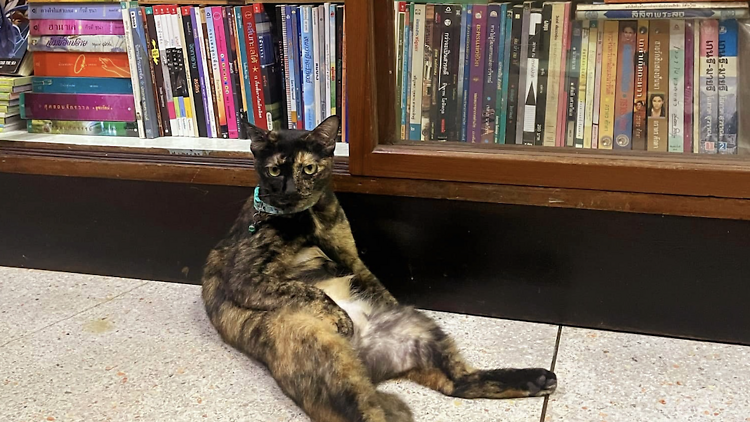 Paengrum’s Books & Cafe