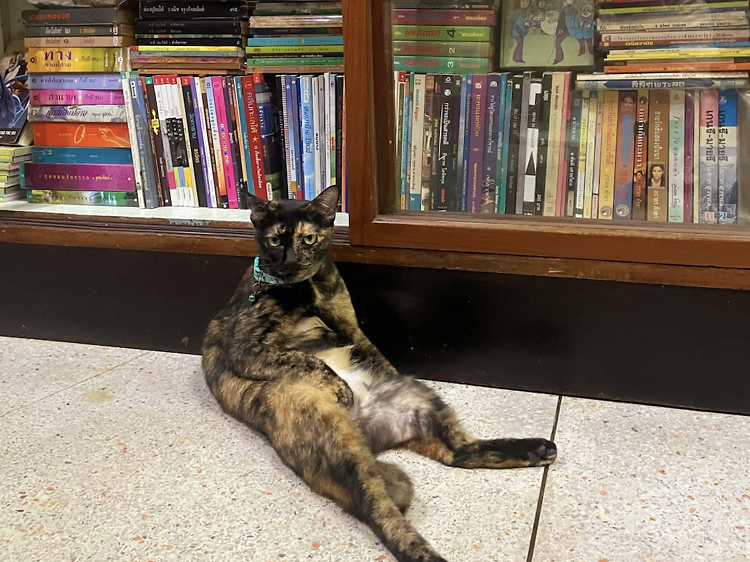 Paengrum’s Books & Cafe