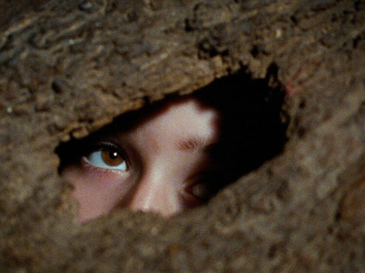 Festival de cine La Inesperada