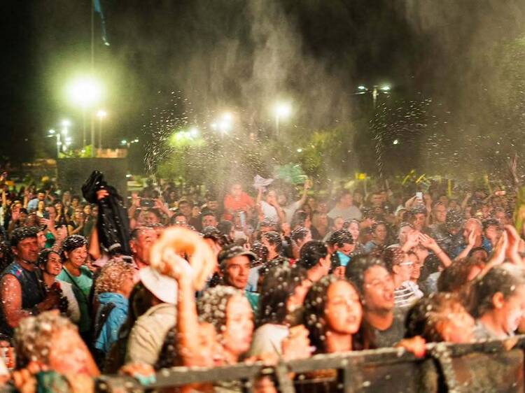 Carnaval en Luján de Cuyo — Tres noches de música y fiesta popular