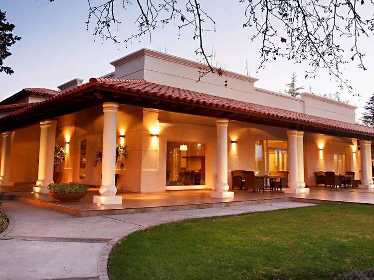 Wine & Chill: brindis y relax en Terrazas de los Andes