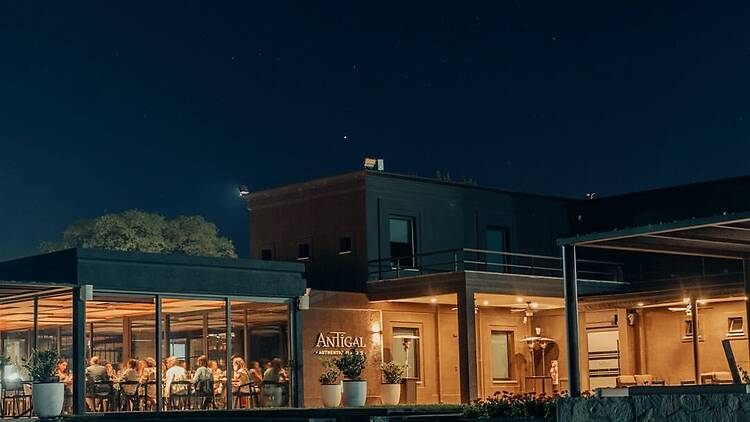 Beats & Wine — Vinos y ritmos para vibrar el lunes de Carnaval