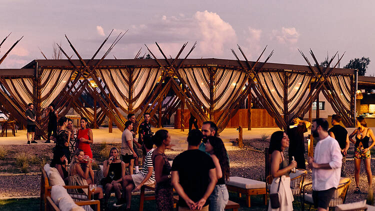 Sunset Bardo en la Bodega — Atardecer, vino y buena música