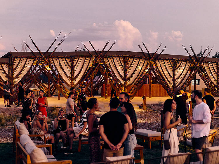 Sunset Bardo en la Bodega — Atardecer, vino y buena música