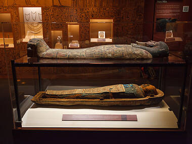 Mummies of the World: The Exhibition Mummies of the World: The Exhibition