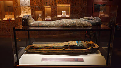 Mummies of the World: The Exhibition Mummies of the World: The Exhibition