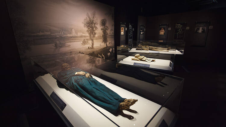 Mummies of the World at the California Science Center