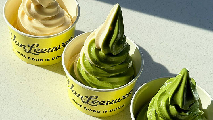 Van Leeuwen frozen yogurt