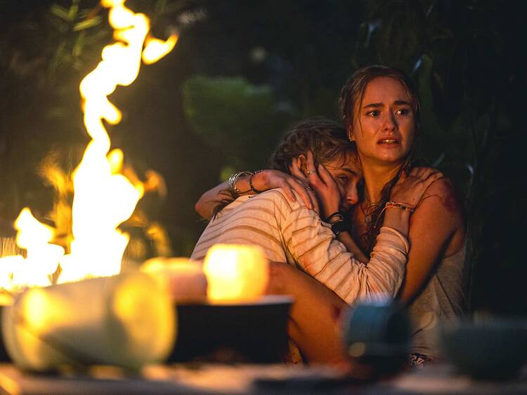 Primate: Cuando el mejor amigo del hombre se convierte en su peor pesadilla