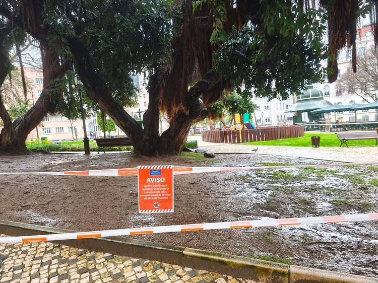 Carlos Moedas fecha jardins e aconselha teletrabalho como medidas preventivas