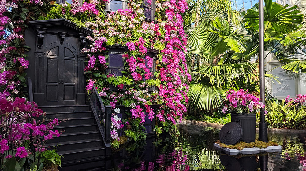 New York Botanical Garden’s Orchid Show turns NYC street life into flowers