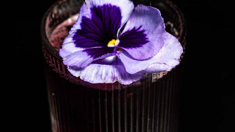 Mezcalería Finca Robles Centro Mezcalería Finca Robles Centro