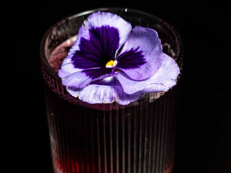 Mezcalería Finca Robles Centro