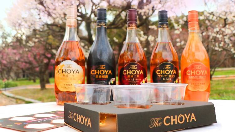 Expo ’70 Commemorative Park Plum Blossom Festival 2026