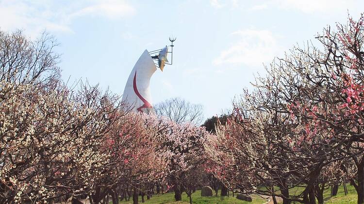 Expo ’70 Commemorative Park Plum Blossom Festival 2026