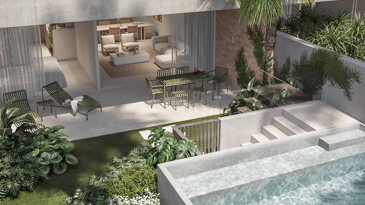 The Bonobo by Raes The Bonobo by Raes