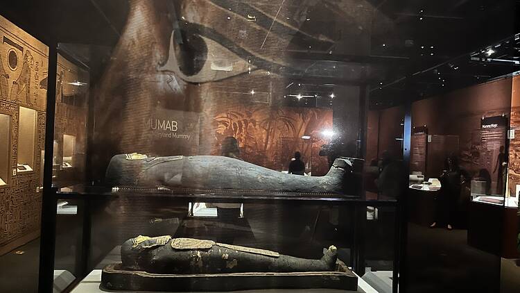 Exhibition view of “Mummies of the World“ at California Science Center.