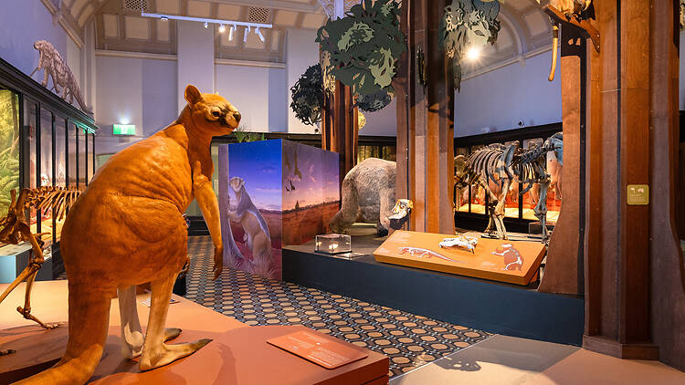 Surviving Australia Exhibition at the Australian Museum