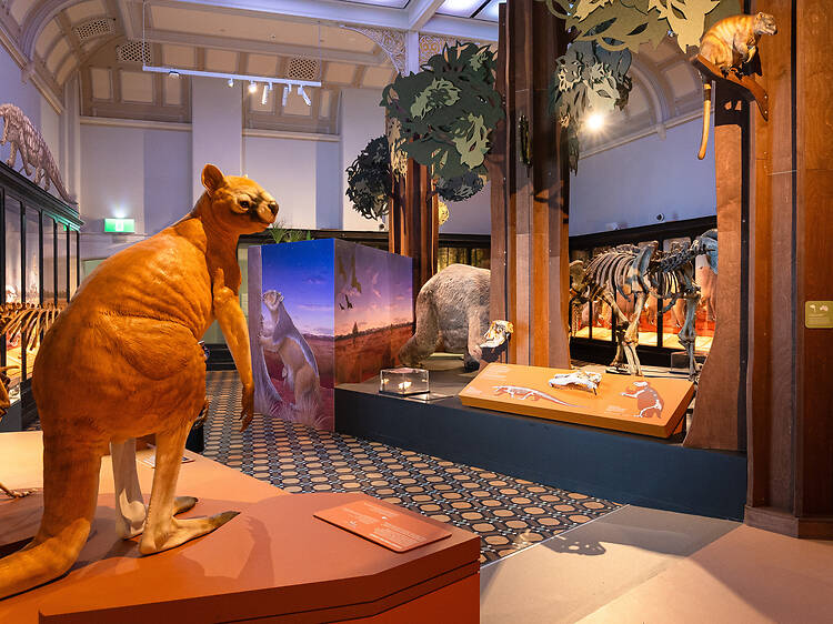 Discover the Australian Museum’s incredible new gallery 'Surviving Australia' in Sydney